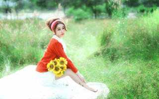Woman sunflower red sweater white - a red sweater free wallpaper