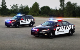 Police cars parking lot forest - ultra realistic illustration free wallpaper
