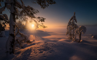 Snowy landscape trees sunset matte - a snowy landscape free wallpaper