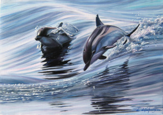 Dolphins ocean boat seagull waves - two dolphin free wallpaper