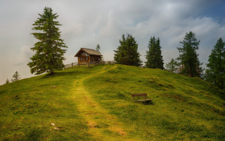 Small cabin grassy hill woods - a small cabin free wallpaper