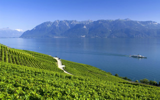 Boat vineyard hills mountains sky - the water and mountains free wallpaper