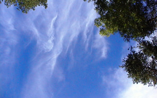 Blue sky clouds trees plane 2 - stroke free wallpaper