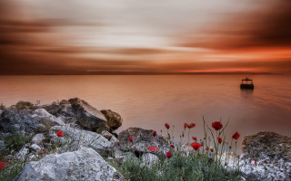 Boat rocks flowers sunset mystical - impressionist free wallpaper