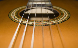 Guitar strings closeup black white 3 - ella guru free wallpaper