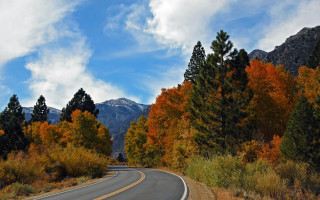 Autumn mountains road trees sky - a curve in the middle of it free wallpaper