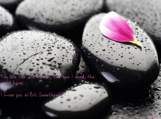 Pink flower black rocks water 3 - a poem free wallpaper