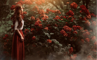 Woman red dress flower field - red flower free wallpaper