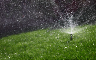 Sprinkler water green lawn rain - grass free wallpaper