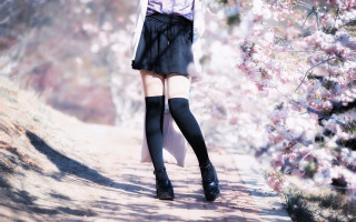 Cherry blossoms anime woman spring - a woman in a skirt free wallpaper