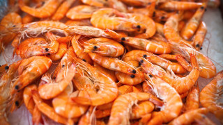 Shrimp pepperoni autumn photorealism fire - top of a table free wallpaper