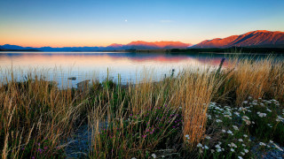 Lake mountains sunset flowers grass - a mountain range in the background free wallpaper
