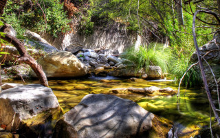 Lush forest stream waterfall nature 2 - a stream free wallpaper