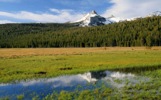 Mountain lake forest clouds nature 2 - a forest in the background free wallpaper