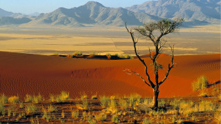 Lone tree desert mountains blue 4 - art free wallpaper
