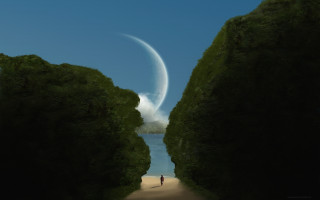Person path trees water bird - christophe vacher free wallpaper