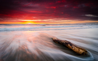 Beach sunset log ocean clouds - a log free wallpaper