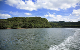 Boat river forest hillside sunny 3 - a river next free wallpaper