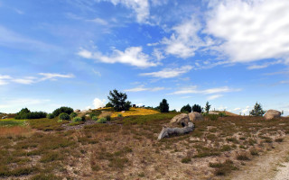 Dirt road rock formation field 2 - a dirt road in a field free wallpaper