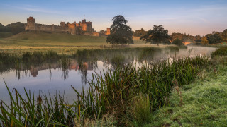 Castle lake grassy field arts 2 - tree and grass free wallpaper