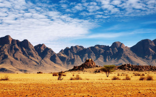 Desert mountains trees blue sky 2 - a mountain range in the background free wallpaper