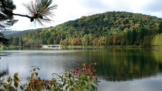 Lake forest bridge scenery nature 2 - lake free wallpaper