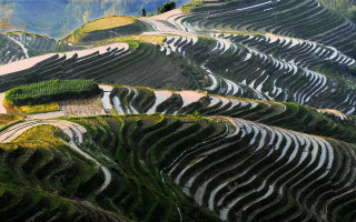 Mountain terraces person tiltshift nature - dai xi free wallpaper
