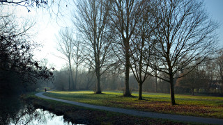 Park path trees water tilt - tree and a body of water free wallpaper