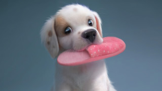 Puppy pink toy sad look - its mouth free wallpaper