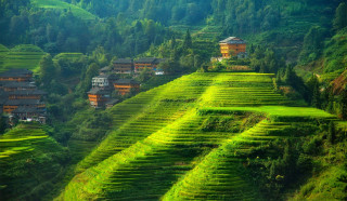 Green hillside houses trees ecological - a green field in the foreground free wallpaper