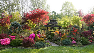 Garden gazebo colorful flowers autumn - rich free wallpaper