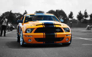 Mustang yellow black parking lot 2 - f 8 aperture free wallpaper