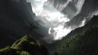 Mountain top tree clouds matte 2 - a mountain top free wallpaper