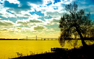 Tree river bridge cloudy sky - cloudy free wallpaper