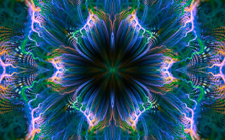 Kaleiki colorful psychedelic flowers nature - psychedelic free wallpaper