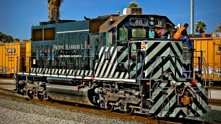 Train people palm tree yellow 2 - hdr free wallpaper