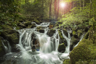 Small waterfall forest mossy rocks 2 - impressionist free wallpaper