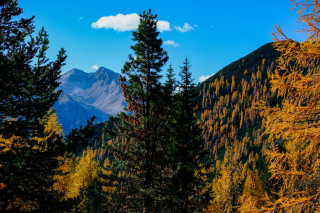 Mountain range trees blue sky - a blue sky in the background free wallpaper for desktop
