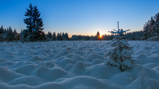 Snowy field trees sunset blue - boleslaw cybi free wallpaper