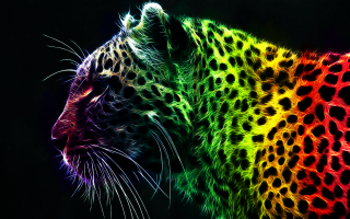 Colorful leopard black background rainbow - psychedelic art free wallpaper