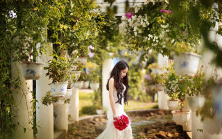 Woman white dress red bouquet - a white dress holding free wallpaper