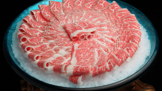Large meat plate ice horse - sakimichan free wallpaper