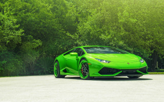 Green sports car forest parking - a forest of trees and bushes free wallpaper