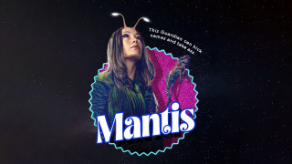 Woman bug headside name space - the side of her face free wallpaper