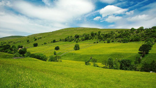 Lush green hillside trees clouds - a lush green hillside free wallpaper