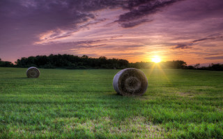 Haybales field sunset purple sky - hdri free wallpaper