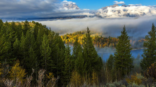 Lake forest mountains sky beach - a view of a lake free wallpaper