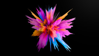 Colorful flower black background 3d - c4d free wallpaper