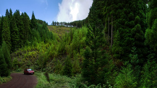 Car road forest bush cloud - free landscape wallpaper