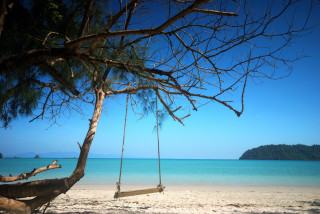 Tree beach swing water clouds - over a beach free wallpaper